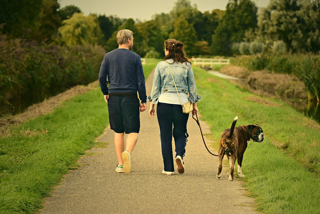 Couple walking a dog on a rural path, surrounded by greenery and trees, enjoying a peaceful outdoor stroll